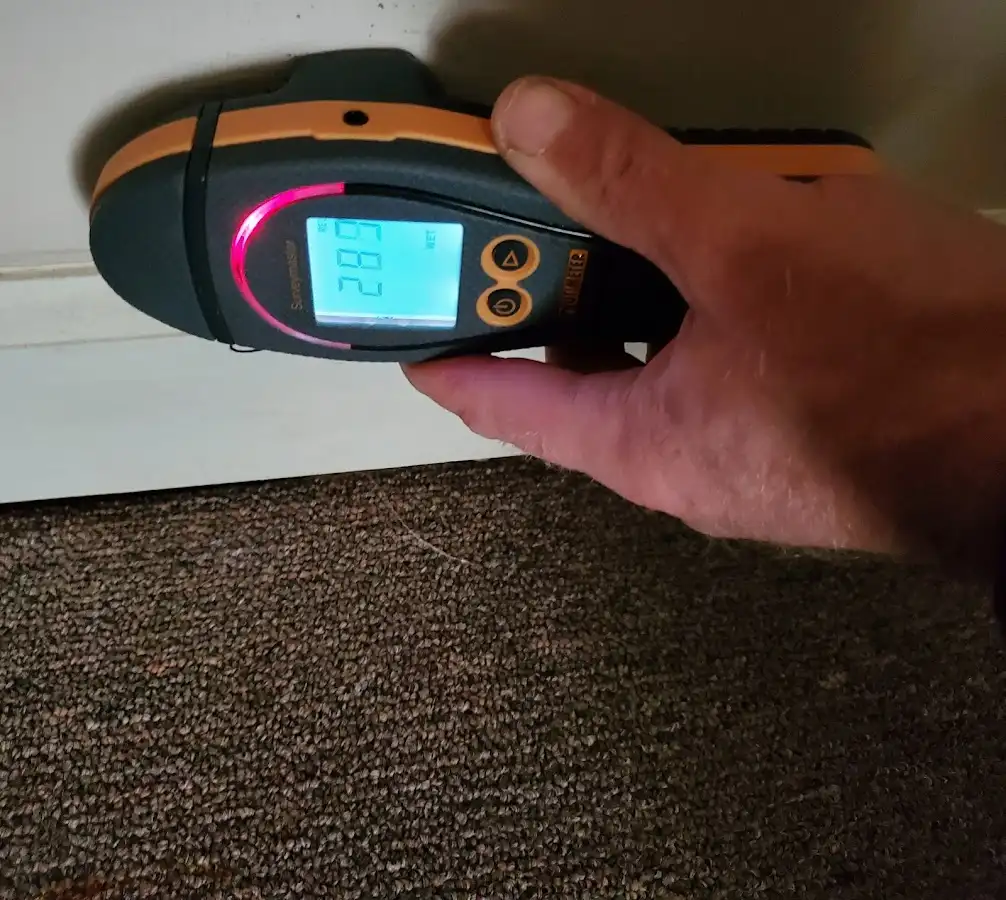 Moisture detection at baseboard during Burst Pipe Cleanup in Pleasant Valley